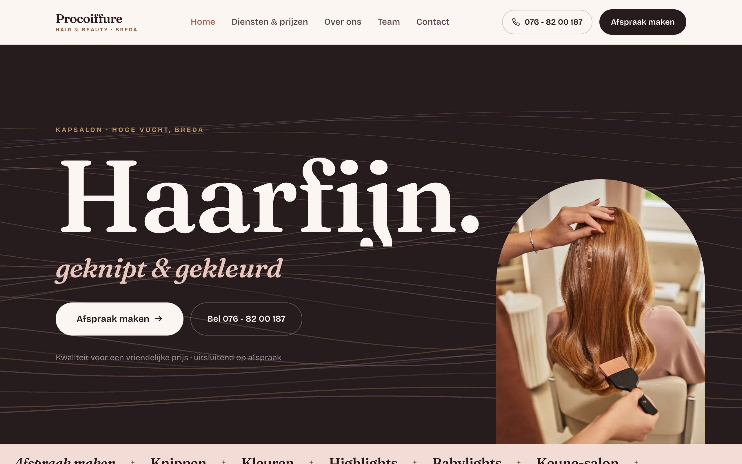 Sectie uit de website die wij maakten voor ProCoiffure